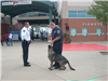 Two Human Officers and a K-9 Officer