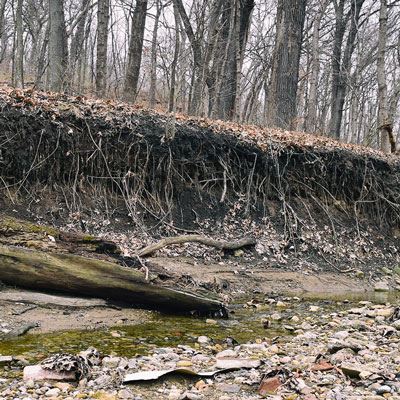 Channel and Ravine Erosion