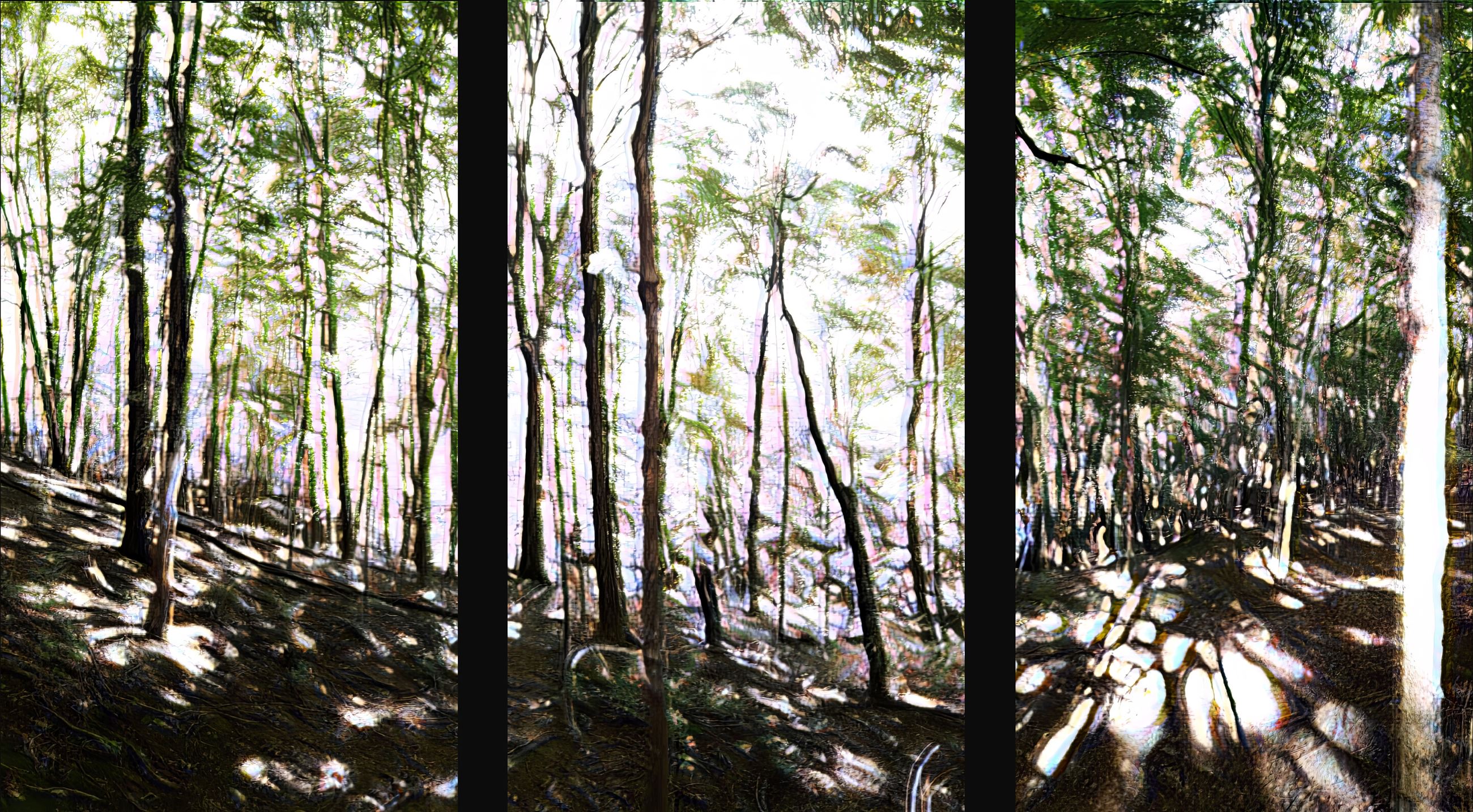 Digital Photo of Trees Titled Sherwood